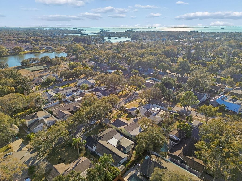 Image 64 of property listing at 1147 RIDGECREST COURT, Palm Harbor, FL 34683