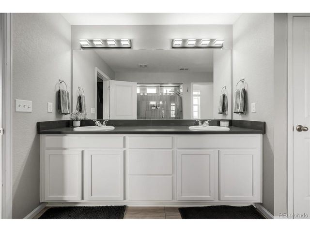 898 Doe Run Ln, Castle Rock, CO 80108