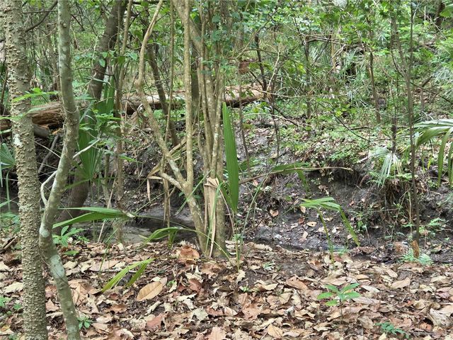 3519 NW 30TH BOULEVARD, Gainesville, FL 32605