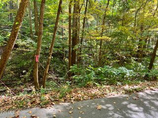 1875 Dyer Hollow Road, Mohawk, TN 37810