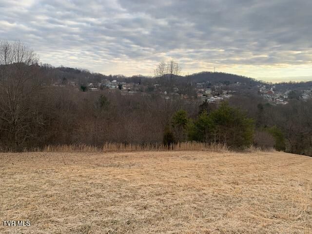 2005 Fairveiw Avenue, Kingsport, TN 37665