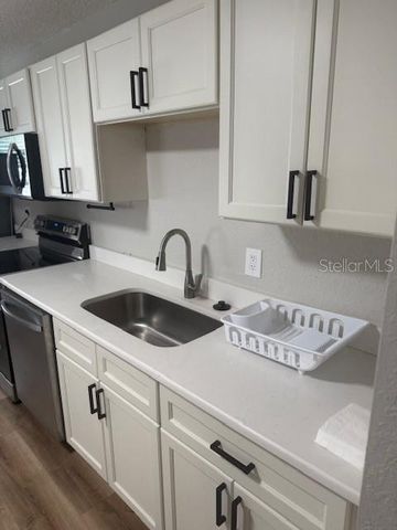 1805 JEFFERSON DRIVE, Mount Dora, FL 32757