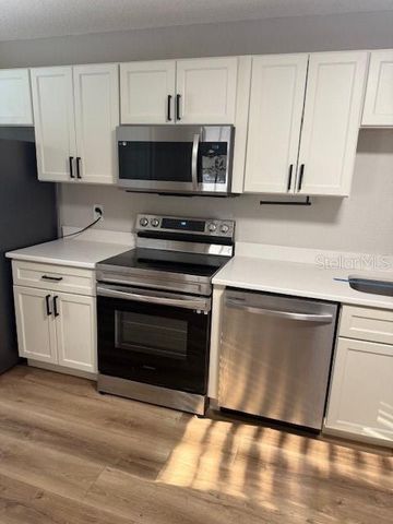 1805 JEFFERSON DRIVE, Mount Dora, FL 32757
