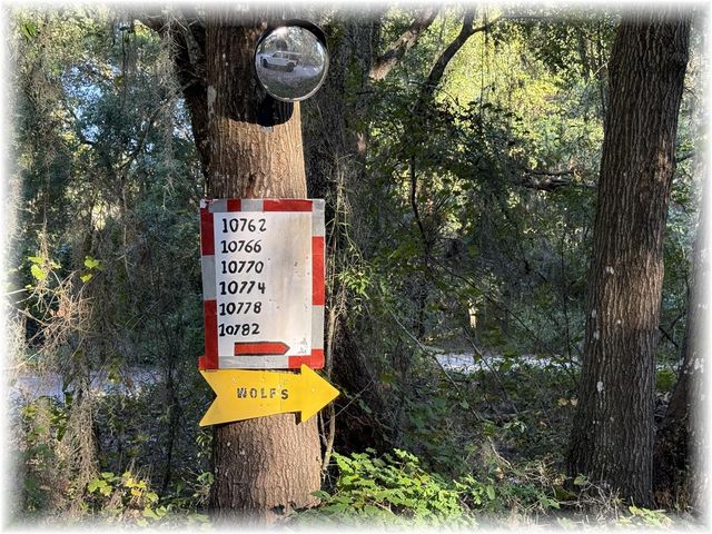 10774 SE 166 LANE, Summerfield, FL 34491