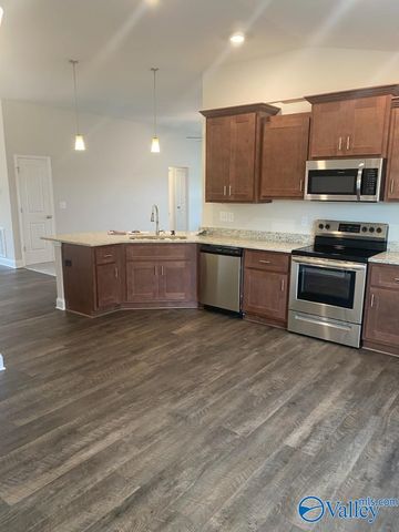 213 Alonzo Toney Drive, Madison, AL 35756