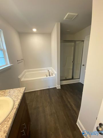 213 Alonzo Toney Drive, Madison, AL 35756