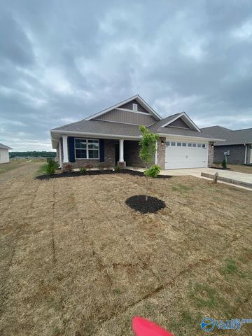 213 Alonzo Toney Drive, Madison, AL 35756