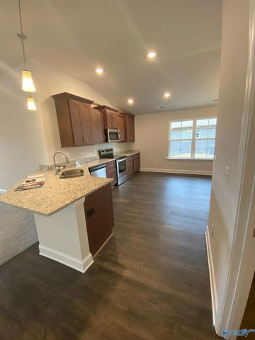 213 Alonzo Toney Drive, Madison, AL 35756