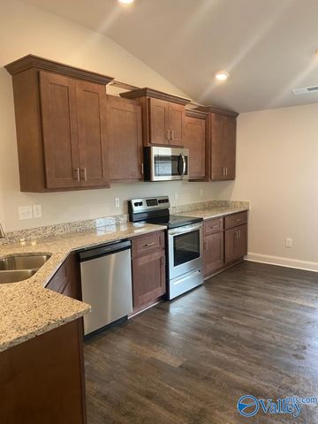 213 Alonzo Toney Drive, Madison, AL 35756