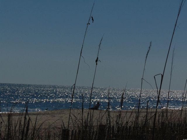 1587 Landing Rd., Myrtle Beach, SC 29577