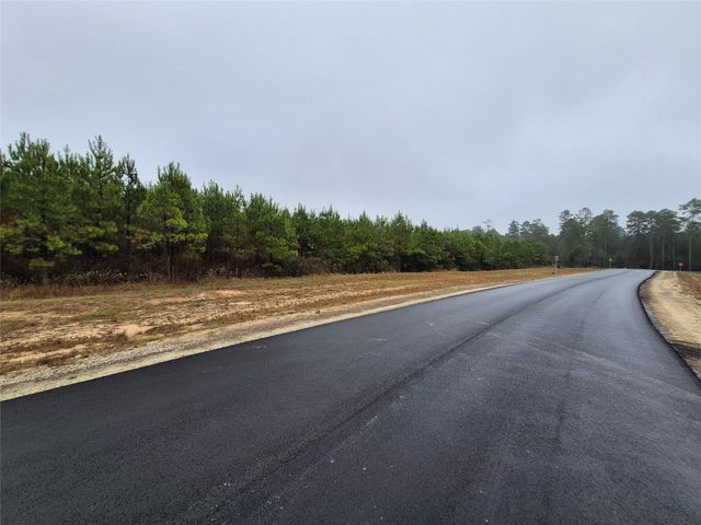 11514 Inspiration Drive, Willis, TX 77378