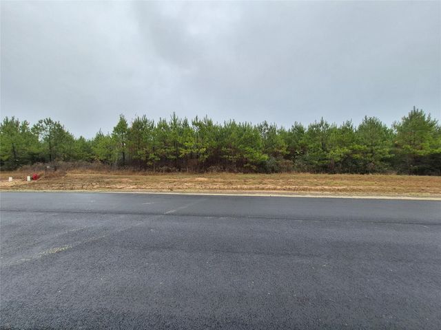 11514 Inspiration Drive, Willis, TX 77378