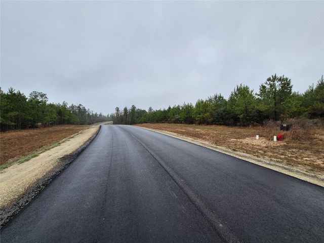 11514 Inspiration Drive, Willis, TX 77378