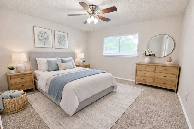 216 Freedom Lane, Arlington, TX 76002