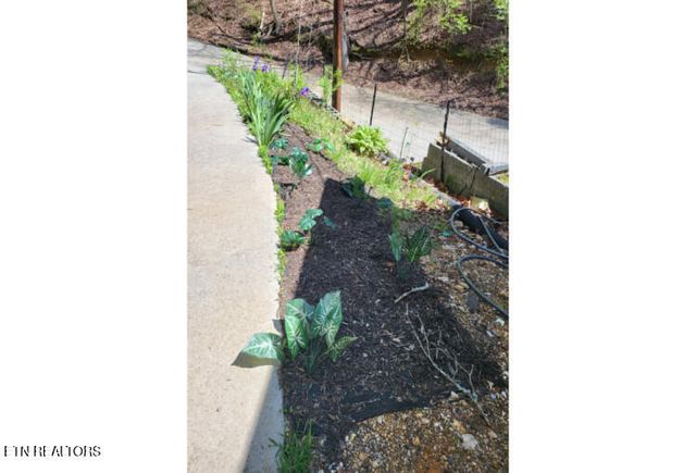 790 Sulphur Springs Rd, Clinton, TN 37716