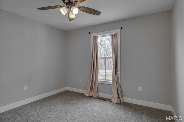 518 Rue Lamande, Bonne Terre, MO 63628
