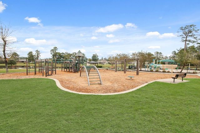 227 Brazen Forest Trail, Magnolia, TX 77354