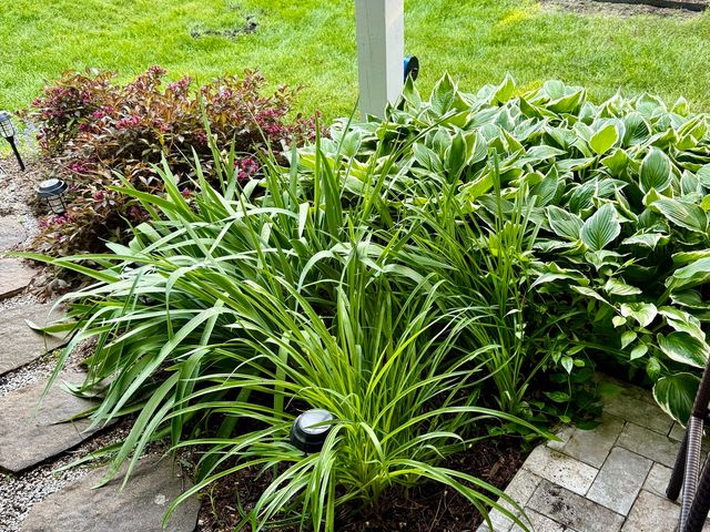 22 Rodeo Drive, Burr Ridge, IL 60527