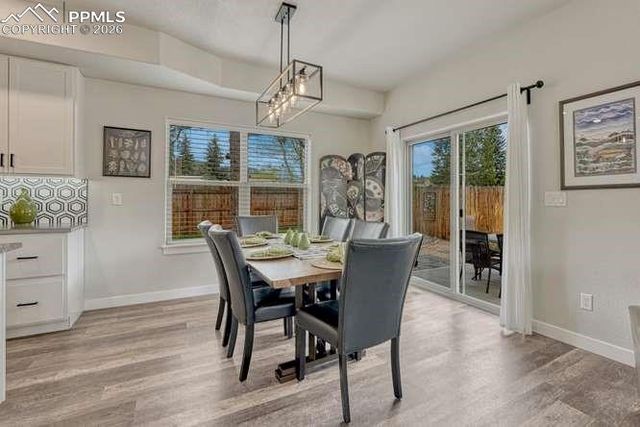 110 Chester Avenue, Woodland Park, CO 80863