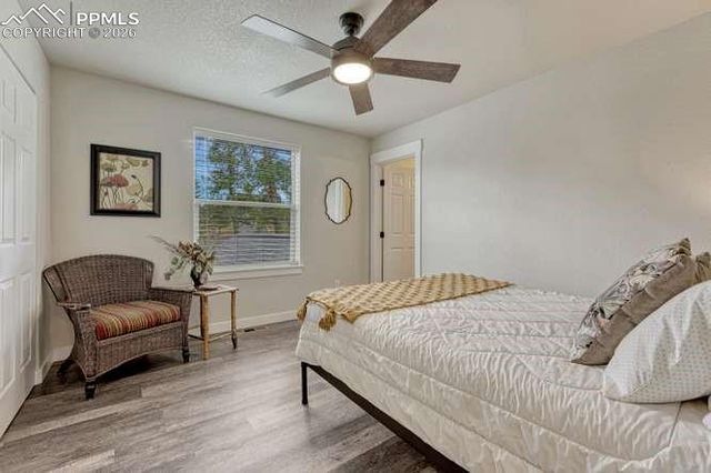 110 Chester Avenue, Woodland Park, CO 80863