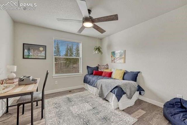 110 Chester Avenue, Woodland Park, CO 80863