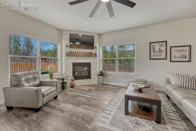 110 Chester Avenue, Woodland Park, CO 80863