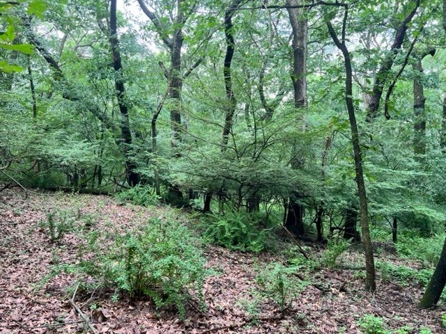 373 N Bateman Circle, Barrington Hills, IL 60010