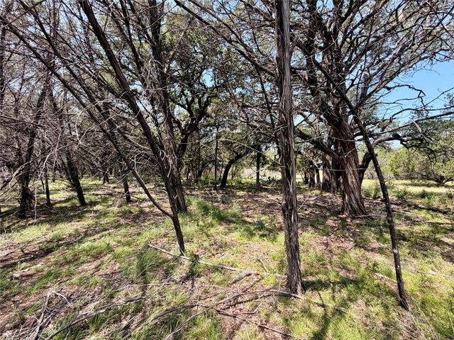 21807 O'Henry Ave, Lago Vista, TX 78645