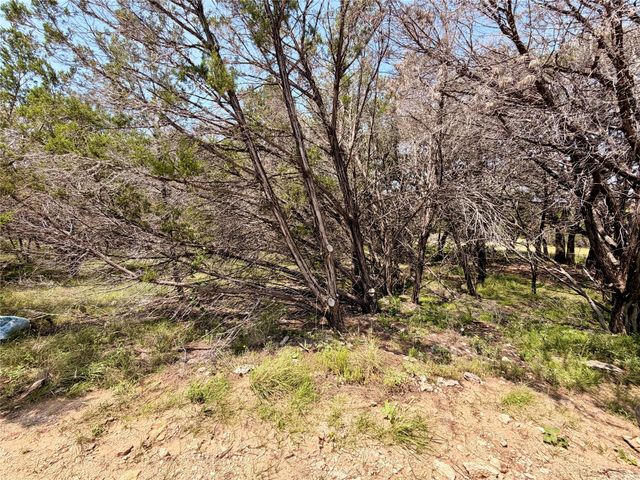 21807 O'Henry Ave, Lago Vista, TX 78645