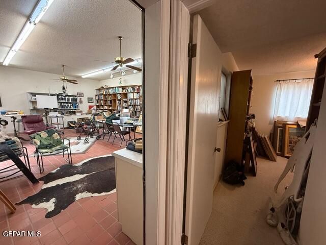 6435 BELTON Road, El Paso, TX 79912