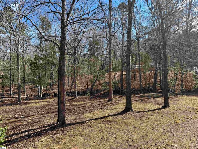 262 Geddy Road, Gray Court, SC 29645