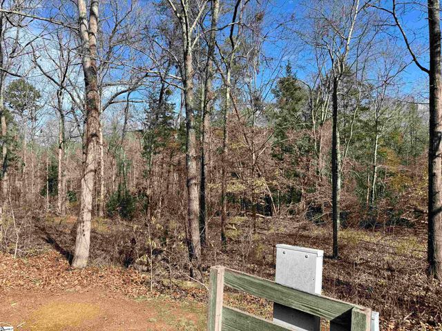 262 Geddy Road, Gray Court, SC 29645