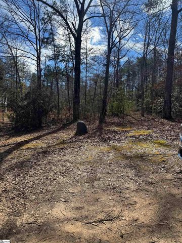 262 Geddy Road, Gray Court, SC 29645