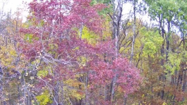 47802 Xylophone Road, Garrison, MN 56450