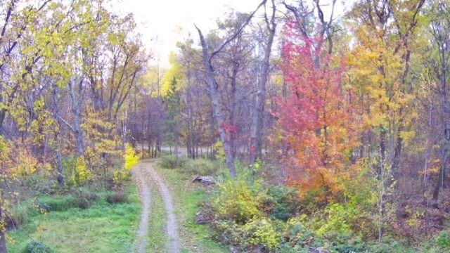 47802 Xylophone Road, Garrison, MN 56450