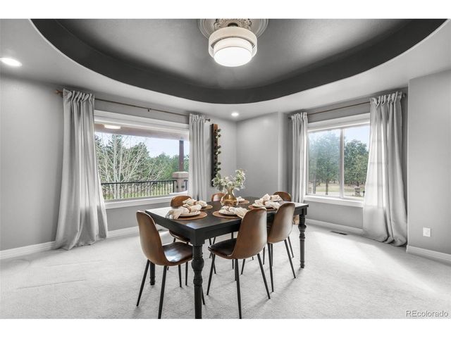 450 E Stirrup Trl, Monument, CO 80132