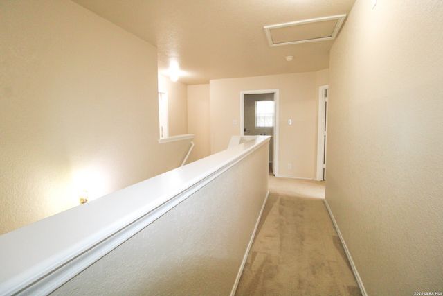 16130 Branching Oaks, San Antonio, TX 78247