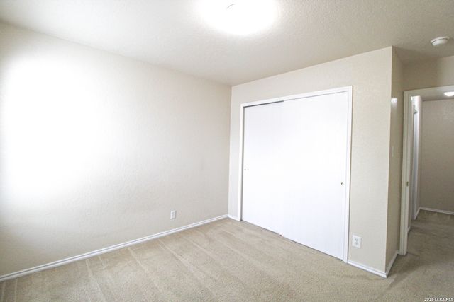 16130 Branching Oaks, San Antonio, TX 78247