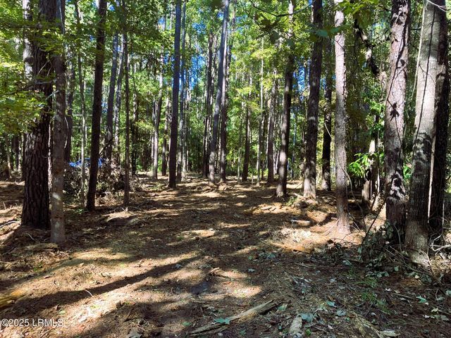 481 Paige Point Bluff, Seabrook, SC 29940