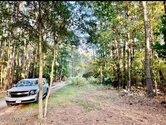 481 Paige Point Bluff, Seabrook, SC 29940