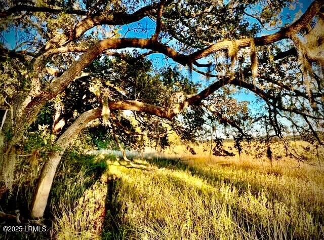 481 Paige Point Bluff, Seabrook, SC 29940