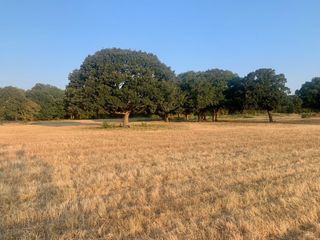 TBD County Road 4410, Commerce, TX 75428