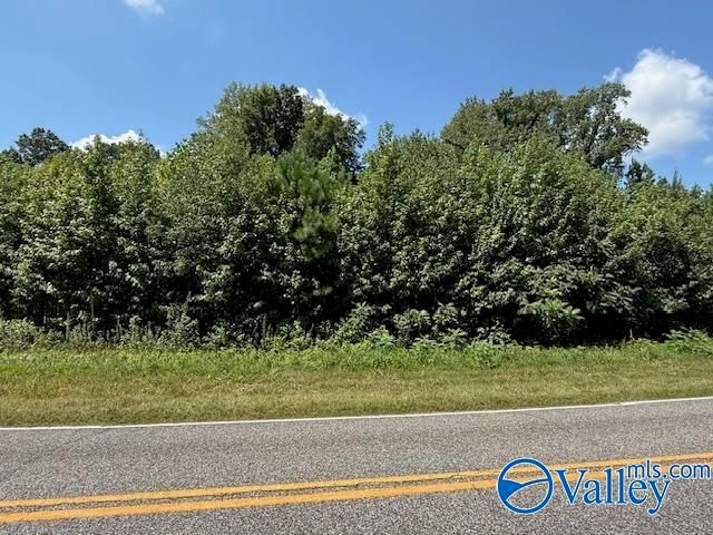 Tract 2 of 2 Flanagan Road, Athens, AL 35614