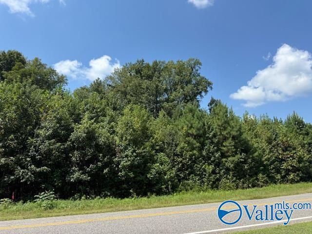 Tract 2 of 2 Flanagan Road, Athens, AL 35614