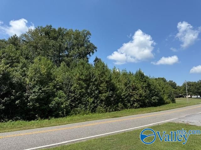 Tract 2 of 2 Flanagan Road, Athens, AL 35614