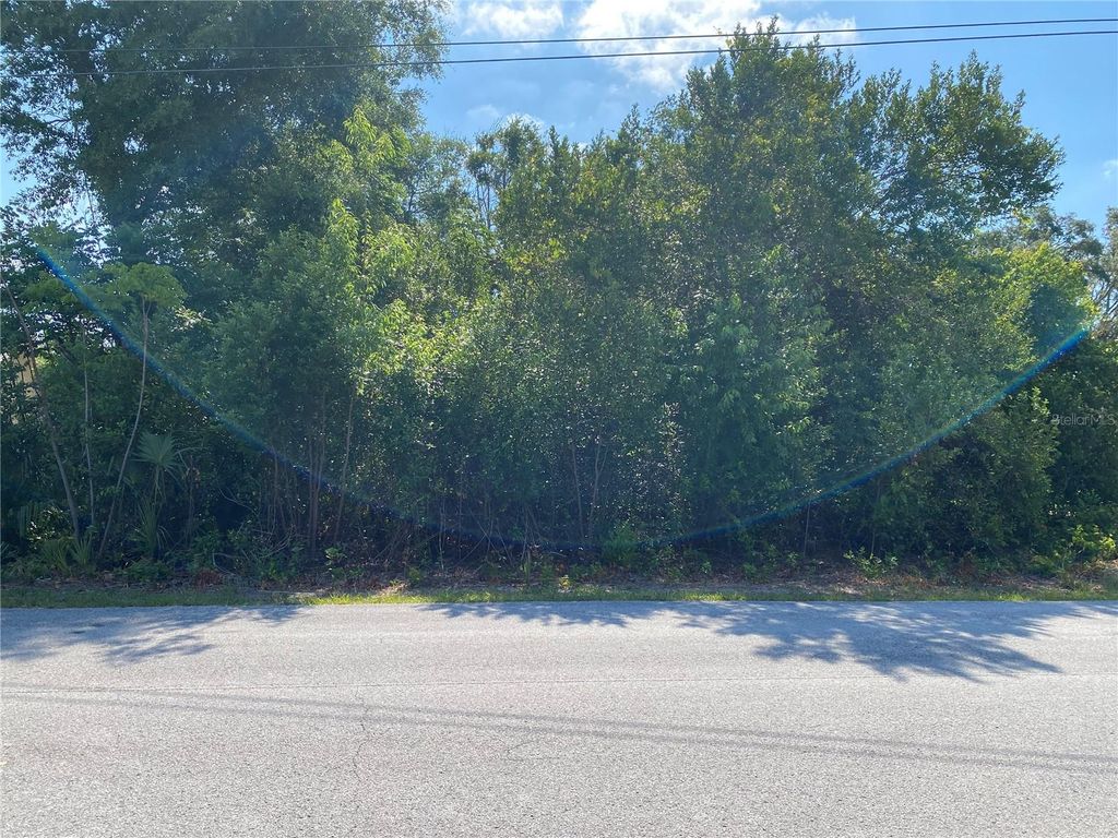GATEWOOD AVENUE, Spring Hill, FL 34608