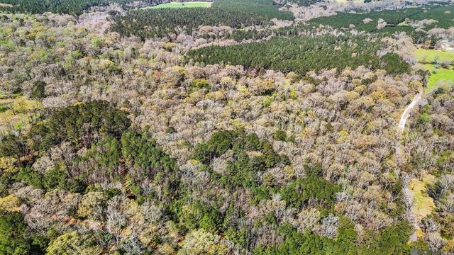 tbd Beechgrove, Clinton, LA 70722