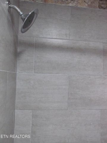 300 Tennessee Ave, Greenback, TN 37742