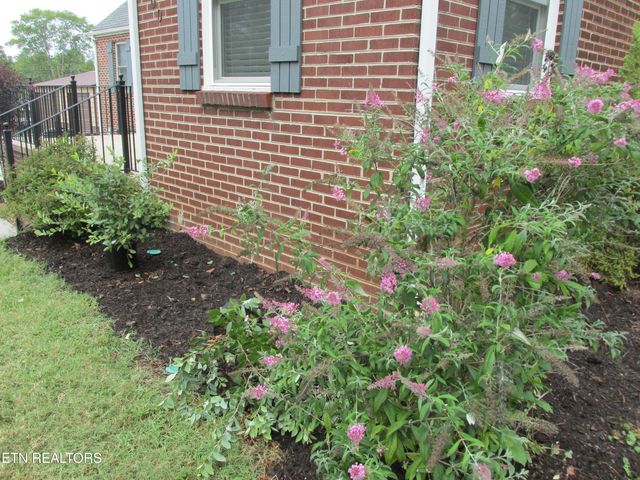 300 Tennessee Ave, Greenback, TN 37742