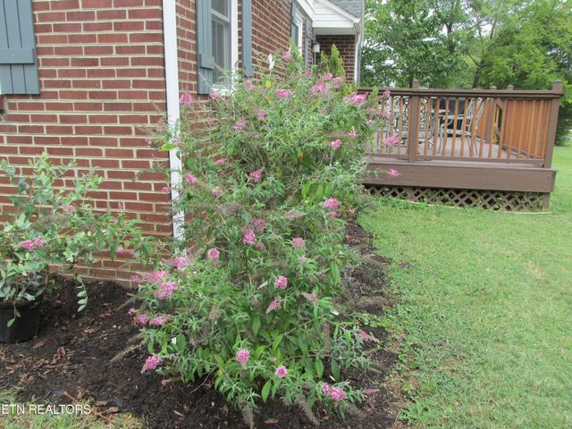 300 Tennessee Ave, Greenback, TN 37742